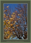 Файл=Frame_WEB_4825.jpg
Объём=631KB
Размеры=870x1200
Дата=Окт 31, 2010 Frame_WEB_4825.jpg