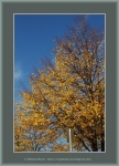 Файл=Frame_WEB_4842.jpg
Объём=551KB
Размеры=870x1200
Дата=Окт 31, 2010 Frame_WEB_4842.jpg