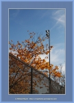 Файл=Frame_WEB_4865.jpg
Объём=468KB
Размеры=870x1200
Дата=Окт 31, 2010 Frame_WEB_4865.jpg