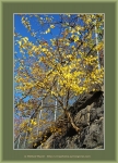 Файл=Frame_WEB_4896.jpg
Объём=624KB
Размеры=870x1200
Дата=Окт 31, 2010 Frame_WEB_4896.jpg