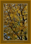 Файл=Frame_WEB_4946.jpg
Объём=615KB
Размеры=870x1200
Дата=Окт 31, 2010 Frame_WEB_4946.jpg