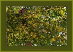 Файл=Frame_WEB_4948.jpg
Объём=512KB
Размеры=1200x870
Дата=Окт 31, 2010 Frame_WEB_4948.jpg