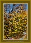 Файл=Frame_WEB_4962.jpg
Объём=655KB
Размеры=870x1200
Дата=Окт 31, 2010 Frame_WEB_4962.jpg