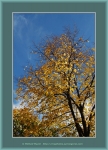 Файл=Frame_WEB_4963.jpg
Объём=543KB
Размеры=870x1200
Дата=Окт 31, 2010 Frame_WEB_4963.jpg