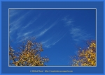 Файл=Frame_WEB_4971.jpg
Объём=316KB
Размеры=1200x870
Дата=Окт 31, 2010 Frame_WEB_4971.jpg