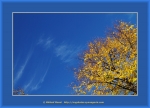Файл=Frame_WEB_4972.jpg
Объём=379KB
Размеры=1200x870
Дата=Окт 31, 2010 Frame_WEB_4972.jpg