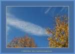 Файл=Frame_WEB_4979.jpg
Объём=397KB
Размеры=1200x870
Дата=Окт 31, 2010 Frame_WEB_4979.jpg