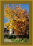 Frame_web_5130.jpg