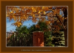 Файл=Frame_web_5152.jpg
Объём=540KB
Размеры=1200x870
Дата=Нояб 05, 2010 Frame_web_5152.jpg