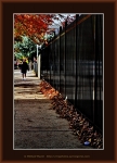 Frame_web_5180.jpg