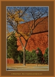 Frame_web_5205.jpg