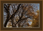 Файл=Frame_web_5214.jpg
Объём=640KB
Размеры=1200x870
Дата=Нояб 05, 2010 Frame_web_5214.jpg