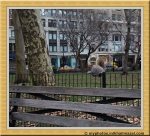 Файл=Frame_IMG_5408_crop_web.jpg
Объём=414KB
Размеры=1200x1088
Дата=Янв 26, 2014 Frame_IMG_5408_crop_web.jpg
