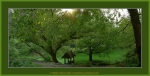Файл=Frame_Green_Luch.jpg
Объём=308KB
Размеры=1206x617
Дата=Июль 10, 2007 Frame_Green_Luch.jpg