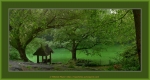 Файл=Frame_cp_green_02.jpg
Объём=388KB
Размеры=1530x820
Дата=Июль 10, 2007 Frame_cp_green_02.jpg