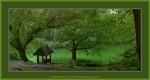 Frame_cp_green_02.jpg