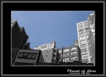Файл=Planet_of_Mine__04_BW_Blue_Manh.jpg
Объём=87KB
Размеры=740x545
Дата=Янв 07, 2007 Planet_of_Mine__04_BW_Blue_Manh.jpg