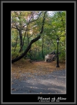 Файл=Planet_of_Mine__07_CtntralParkAlley_Fonar.jpg
Объём=167KB
Размеры=545x740
Дата=Янв 07, 2007 Planet_of_Mine__07_CtntralParkAlley_Fonar.jpg
