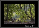 Файл=Planet_of_Mine__08_CRW_0019_Cental_Park_polumrak_prosvet.jpg
Объём=168KB
Размеры=740x545
Дата=Янв 07, 2007 Planet_of_Mine__08_CRW_0019_Cental_Park_polumrak_prosvet.jpg