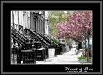 Файл=Planet_of_Mine__16_IMG_3290_vesna_JS_bw_rose.jpg
Объём=154KB
Размеры=740x545
Дата=Янв 07, 2007 Planet_of_Mine__16_IMG_3290_vesna_JS_bw_rose.jpg