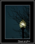 Файл=Planet_of_Mine__44_cinij_nocnoi_fonar_vvetvya44_x_1114.jpg
Объём=89KB
Размеры=598x740
Дата=Янв 07, 2007 Planet_of_Mine__44_cinij_nocnoi_fonar_vvetvya44_x_1114.jpg