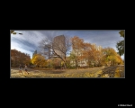 Файл=VYST_sm__Goloe_DErevo.jpg
Объём=154KB
Размеры=1000x800
Дата=Март 11, 2013 VYST_sm__Goloe_DErevo.jpg