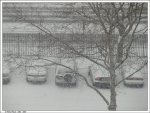 Файл=PC050112_filtered.jpg
Объём=87KB
Размеры=600x455
Дата=Янв 09, 2007 PC050112_filtered.jpg