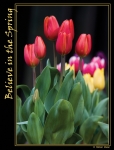 Файл=sm-1.jpg
Объём=143KB
Размеры=640x838
Дата=Янв 09, 2007 sm-1.jpg